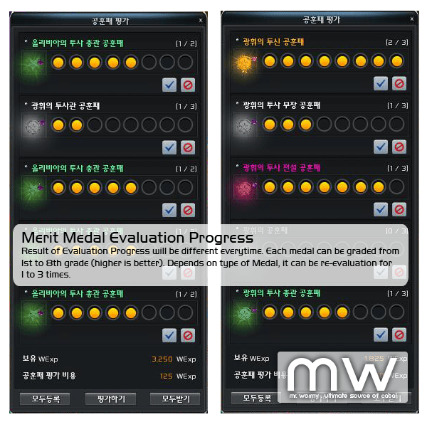 20140426_ep11_5_mms_merit_medal_evaluation