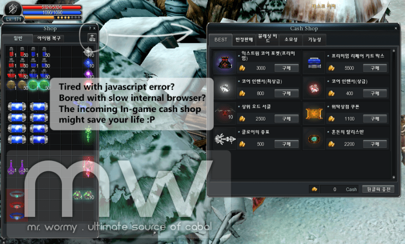 20150101_new_ingame_cashshop