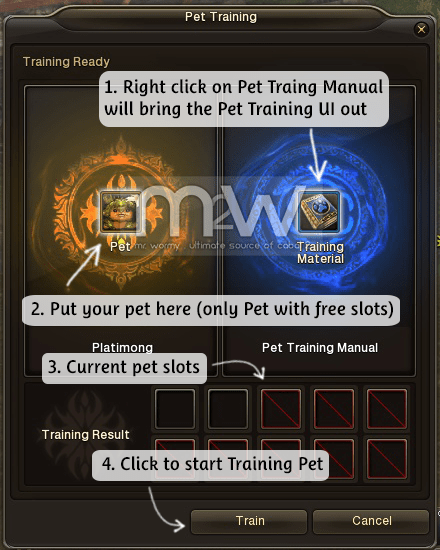 20150808_cb2_all_about_pet_train_pet